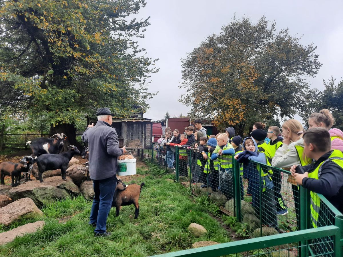 Zdjęcie: bio_gospodartstwo